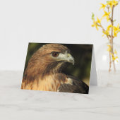 Red Taily Hawk Notecard Kaart (Gele Bloem)
