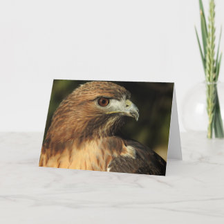 Red Taily Hawk Notecard Kaart
