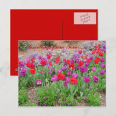 RED TeXaS-groeten Briefkaart (Voorkant / Achterkant)