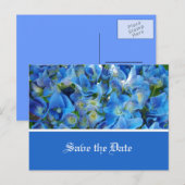" red the date " : blauwe hydrangebloemen aankondigingskaart (Voorkant / Achterkant)