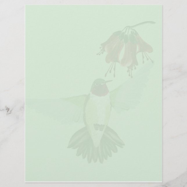 Red Throing Hummingbird2 letterhead_vertical (Voorkant)