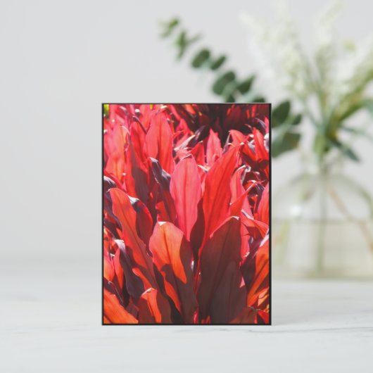 Red Ti Briefkaart (Staand voorkant)