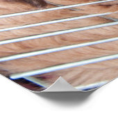 Red Tibetan Mastiff Poster (Hoek)