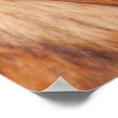 Red Tibetan Mastiff Poster (Hoek)