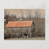 Red Tin Roof Briefkaart (Voorkant)