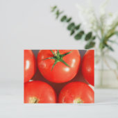 Red Tomatoes briefkaart (Staand voorkant)