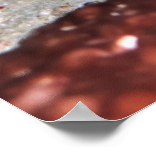 Red Tooth Triggerfish Poster (Hoek)