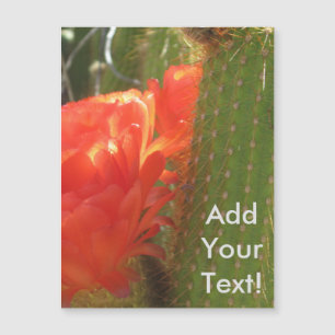 Red Torch Cactus