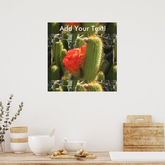 Red Torch Cactus Poster (Keuken)