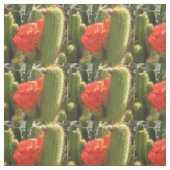 Red Torch Cactus Stof (Swatch)
