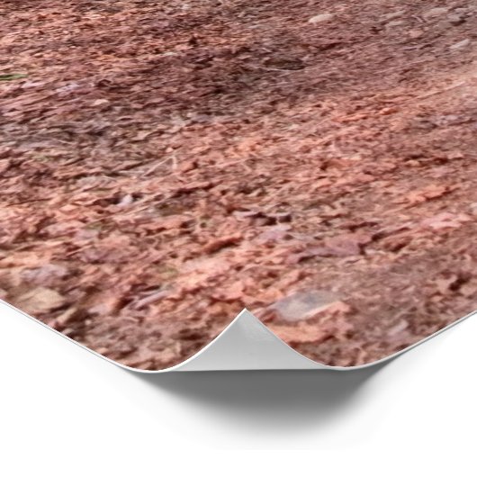 Red Town Path Print (Hoek)