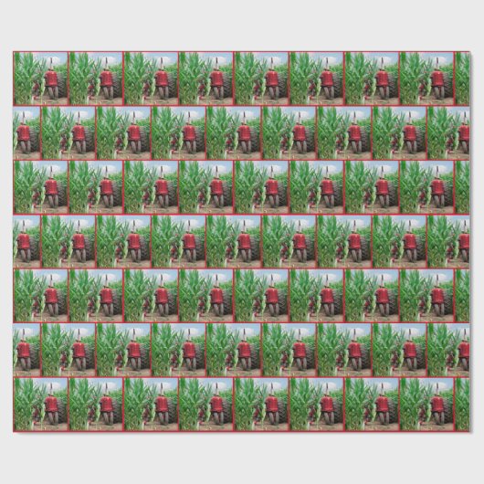 Red Tractor op Cornfield Cadeaupapier (Vlak)