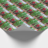 Red Tractor op Cornfield Cadeaupapier (Hoek)