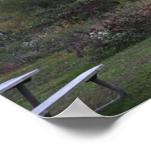 Red Tree met bankjes Poster (Hoek)