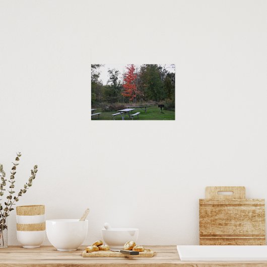 Red Tree met bankjes Poster (Keuken)