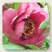 Red Tree Peony Bloom Floral Bier Onderzetter (Voorkant)