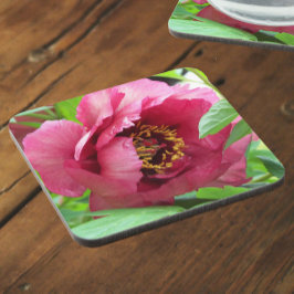 Red Tree Peony Bloom Floral Bier Onderzetter