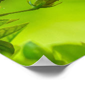 🌺 Red Tropical Kiss 💋 Poster (Hoek)