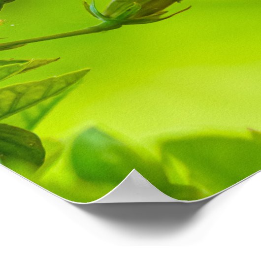 🌺 Red Tropical Kiss 💋 Poster (Hoek)