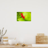 🌺 Red Tropical Kiss 💋 Poster (Keuken)