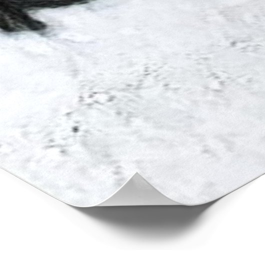  Red Truck met kerstboomtekening Poster (Hoek)