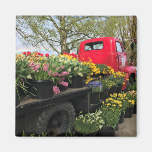 Red Truck met Spring Flowers & Rainbow Magneet