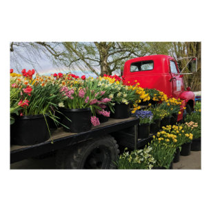 Red Truck met Spring Flowers & Rainbow Perfect Poster
