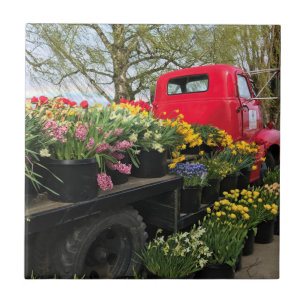 Red Truck met Spring Flowers & Rainbow Tegeltje