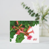Red Trumpet Briefkaart (Staand voorkant)