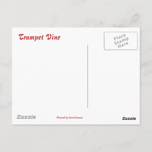 Red Trumpet Briefkaart (Achterkant)
