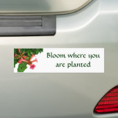Red Trumpet Bumpersticker (Op auto)