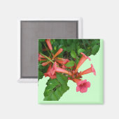 Red Trumpet Magneet (Voorkant / Achterkant)