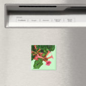 Red Trumpet Magneet (Insitu (Vaatwasser))