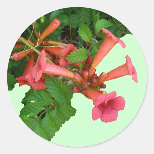 Red Trumpet Ronde Sticker (Voorkant)