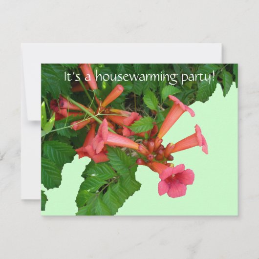 Red Trumpet Vine Housewarming Invitation Kaart (Voorkant)