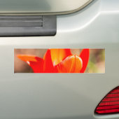 Red Tulip Blossom Bumpersticker (Op auto)