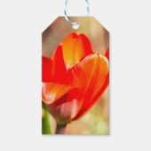 Red Tulip Blossom Cadeaulabel (Voorkant)