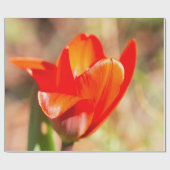 Red Tulip Blossom Cadeaupapier (Vlak)
