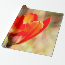 Red Tulip Blossom Cadeaupapier