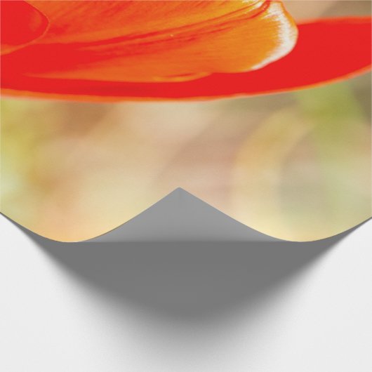 Red Tulip Blossom Cadeaupapier (Hoek)