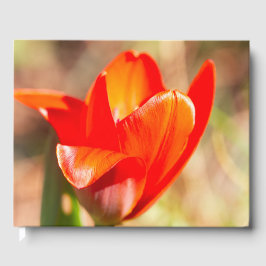 Red Tulip Blossom Gastenboek