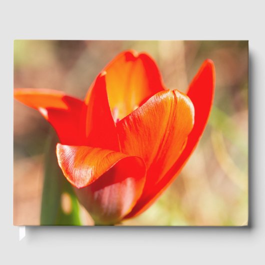Red Tulip Blossom Gastenboek (Voorkant)