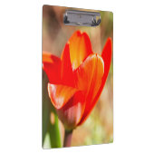 Red Tulip Blossom Klembord (Rechts)
