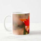 Red Tulip Blossom Koffiemok (Links)