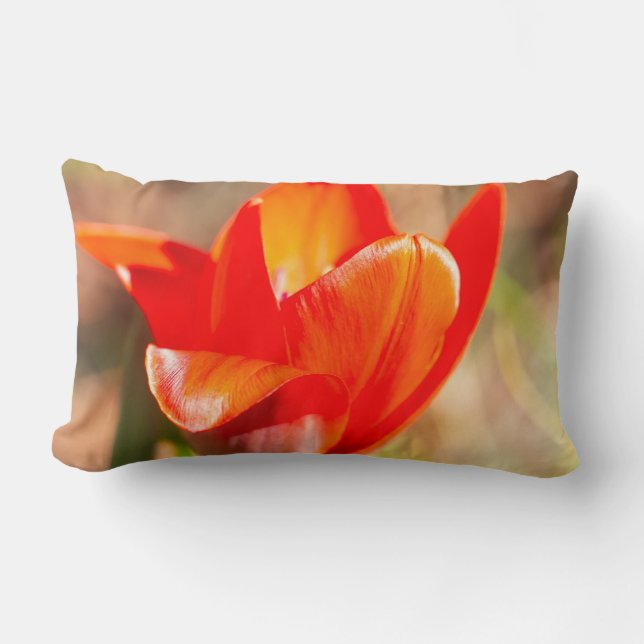 Red Tulip Blossom Kussen (Voorkant)