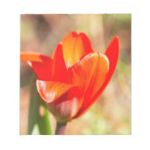 Red Tulip Blossom Notitieblok (Voorkant)