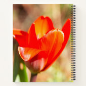 Red Tulip Blossom Notitieboek (Achterkant)