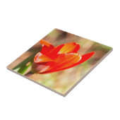 Red Tulip Blossom Tegeltje (Zijkant)