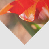 Red Tulip Blossom Tissuepapier (Detail)