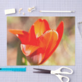 Red Tulip Blossom Tissuepapier (Craft)